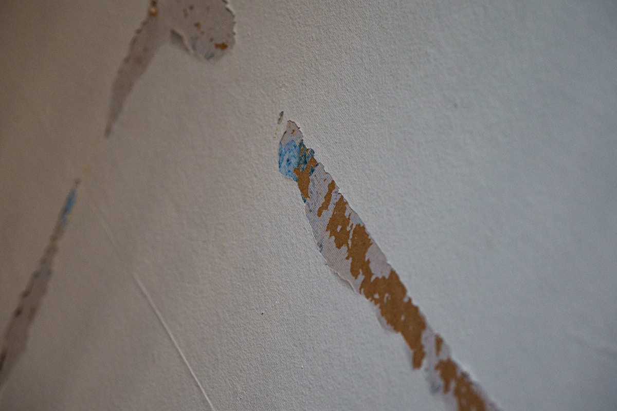 Mold Remediation service in San Diego, CA